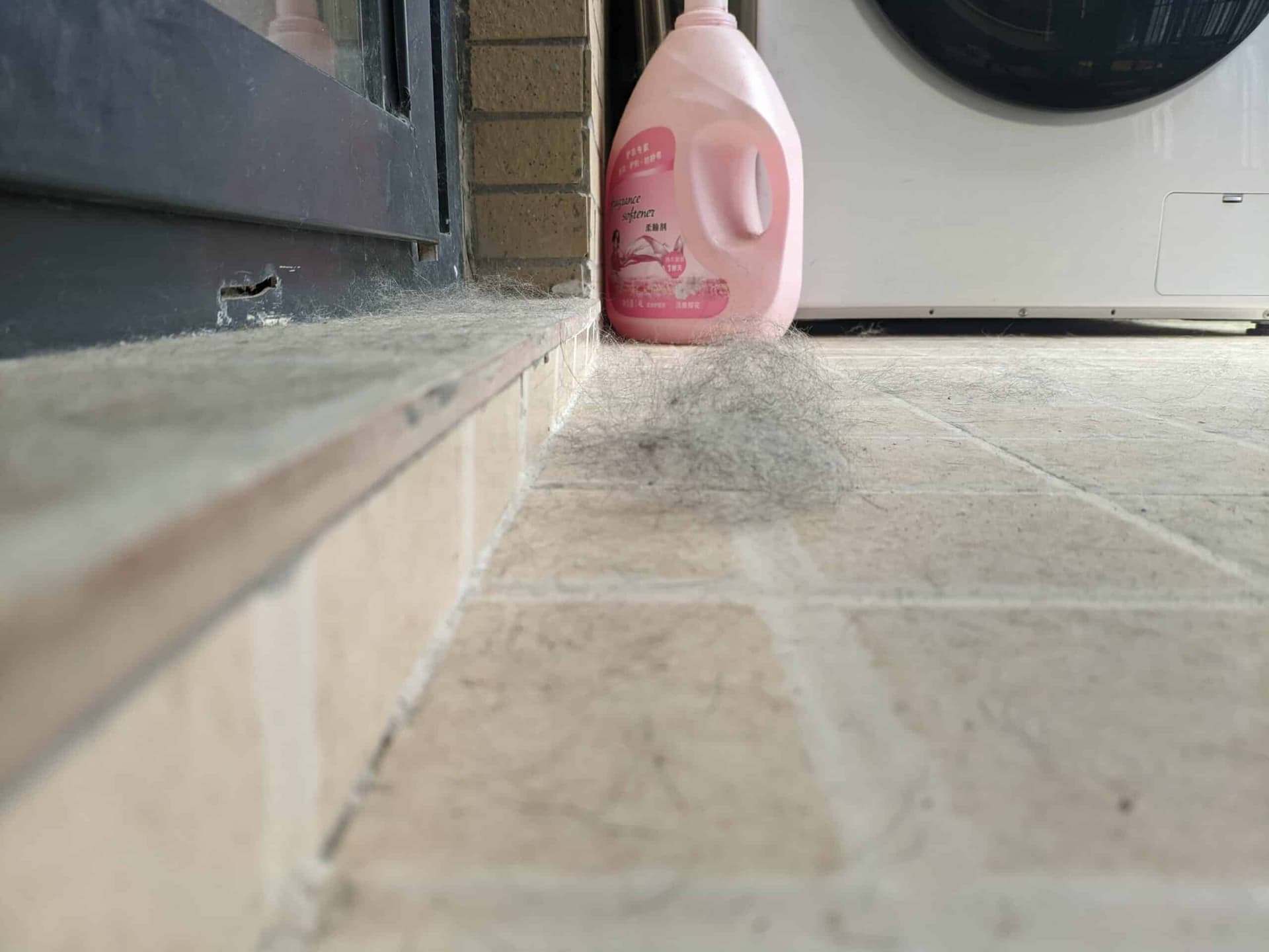 清理狗笼地面对比